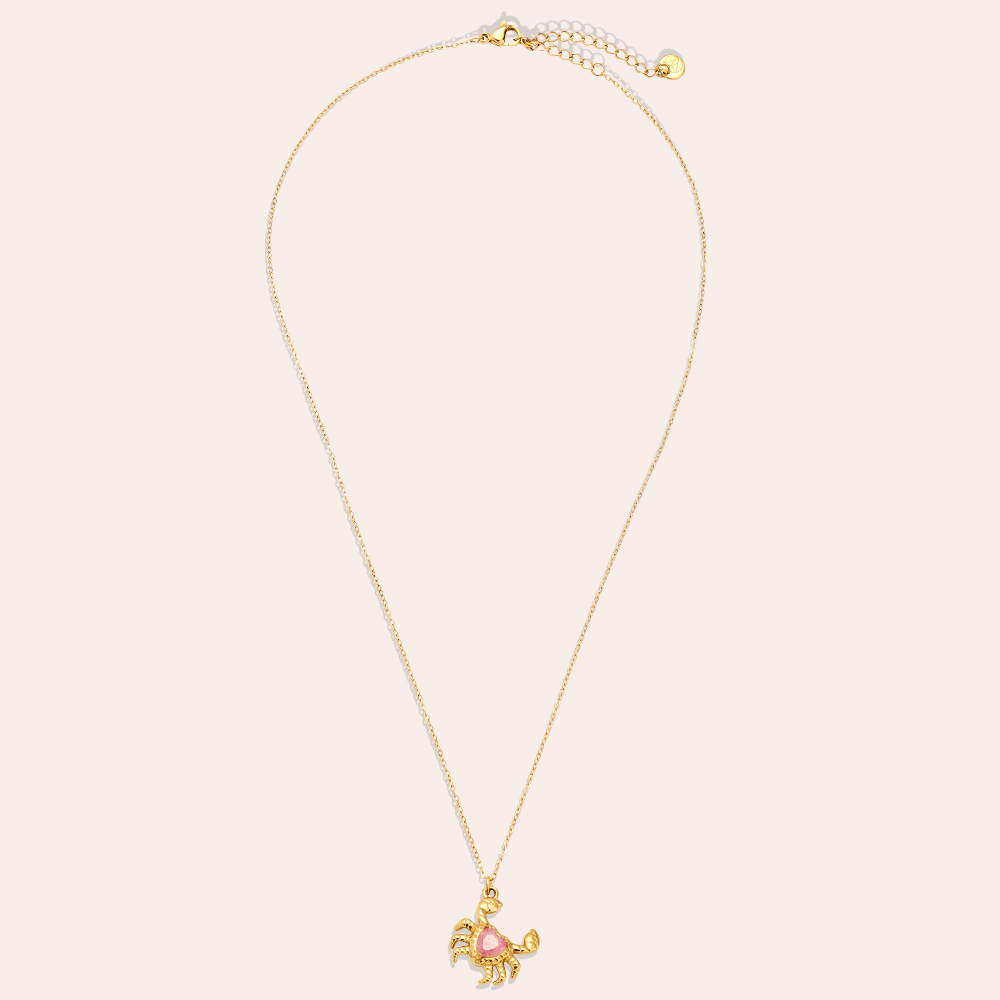 Stainless steel necklace 43cm Crab And Diamond
