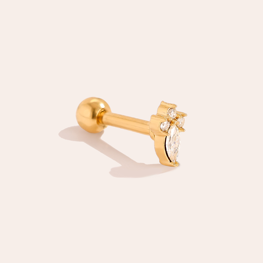 Stainless steel piercing 5mm Mini Nice Diamond