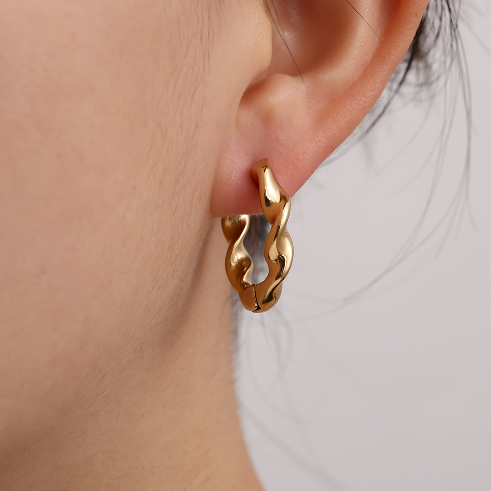 Stainless steel earrings 2.5cm Classic Twist Hoop