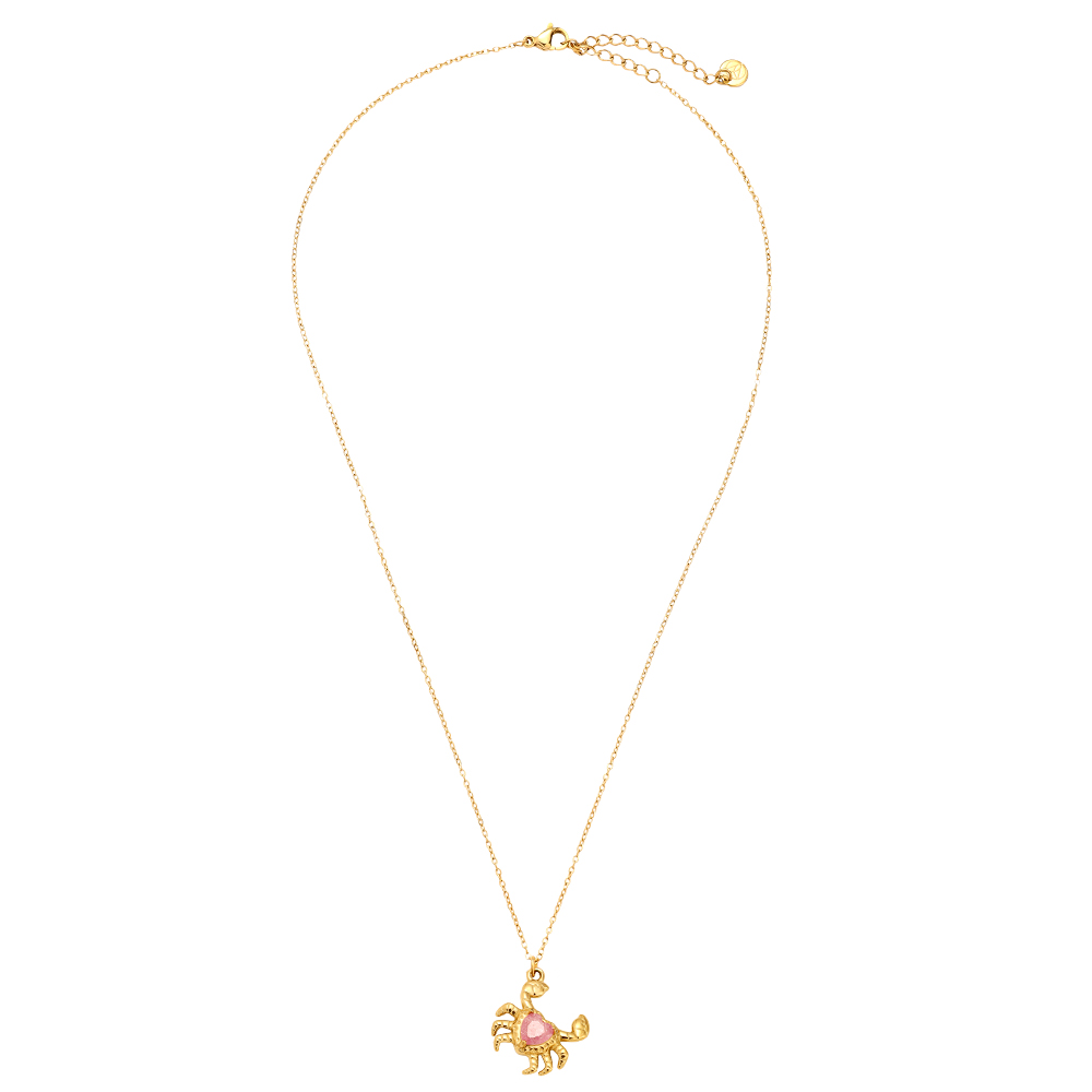 Stainless steel necklace 43cm Crab And Diamond