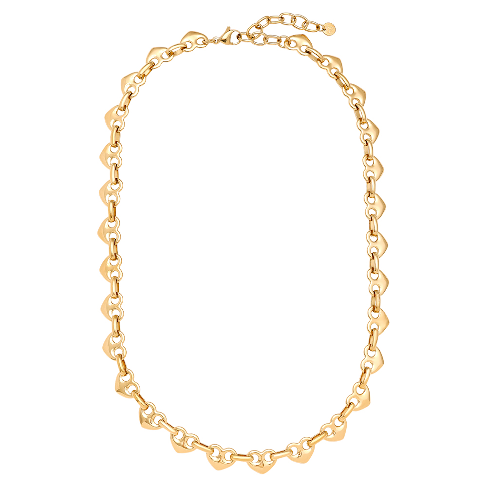 Stainless steel necklace 45cm Heart Nose Chain