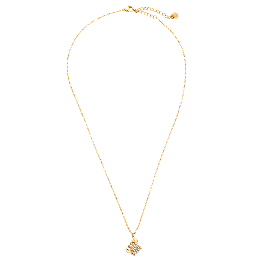 Stainless steel necklace 40cm Diamond Crab