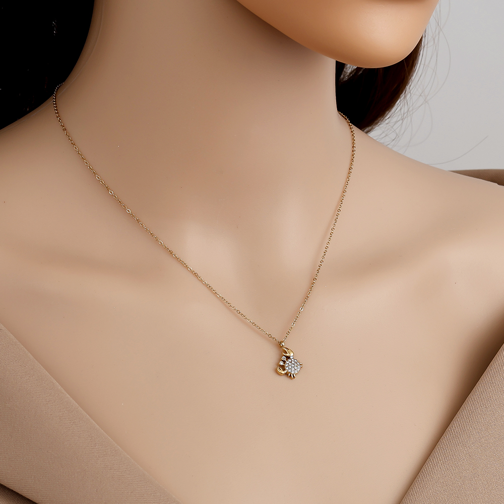 Stainless steel necklace 40cm Diamond Crab
