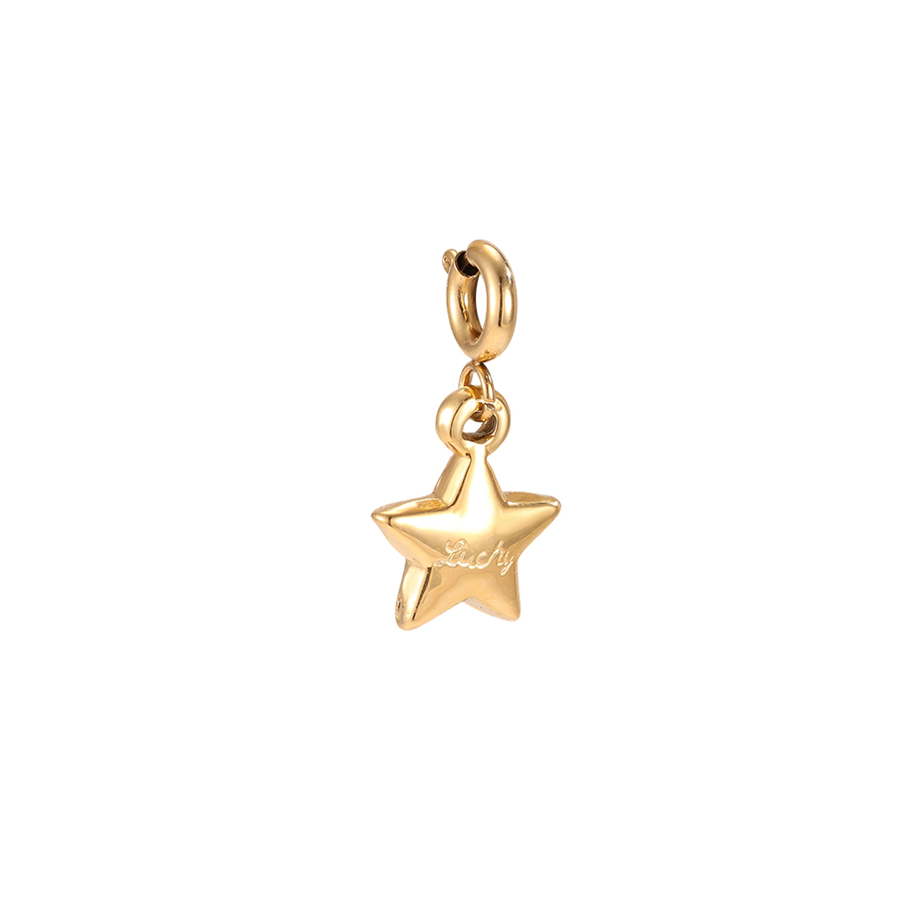 12mm stainless steel pendant: simple star with spring clasp      