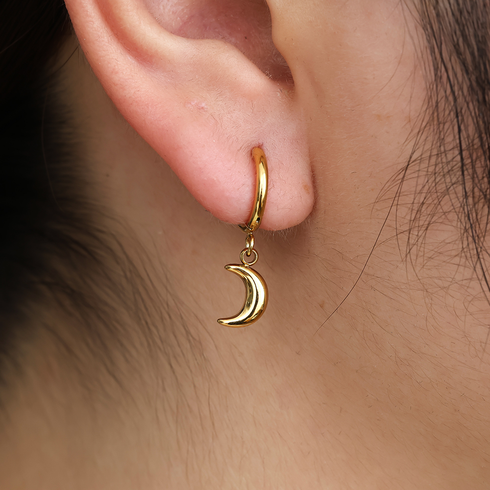 Classic Moon stainless steel earrings     