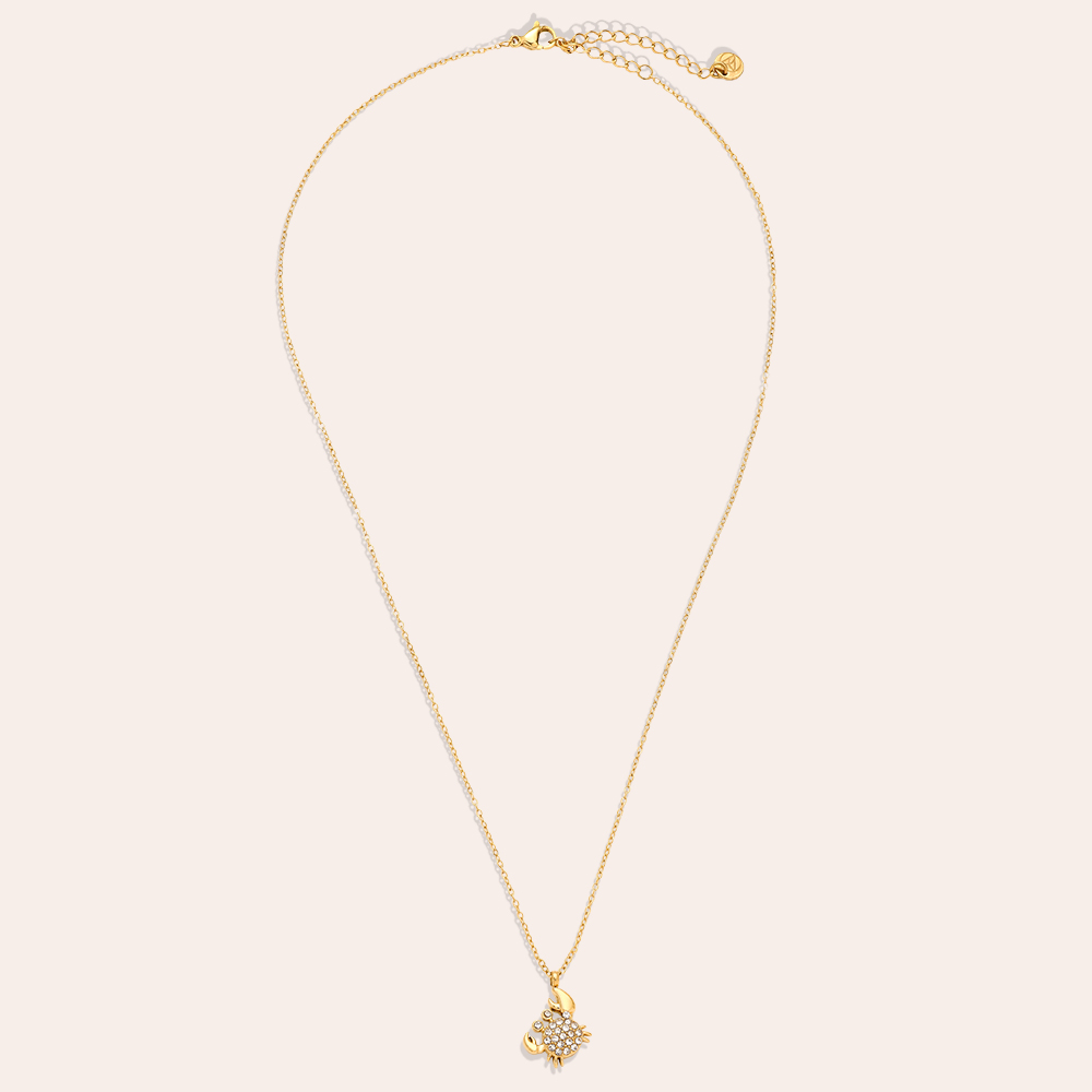 Stainless steel necklace 40cm Diamond Crab