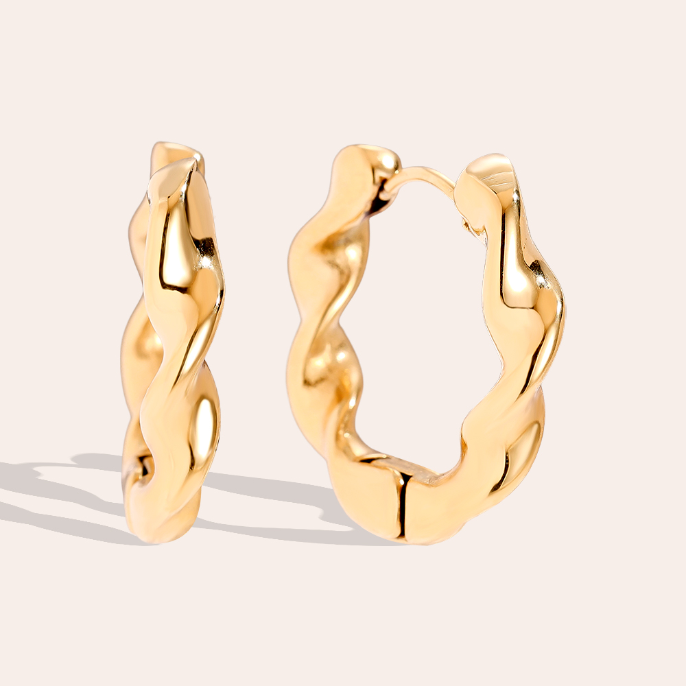 Stainless steel earrings 2.5cm Classic Twist Hoop