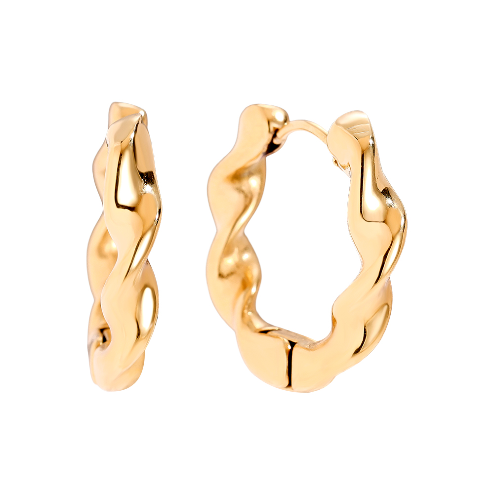 Stainless steel earrings 2.5cm Classic Twist Hoop