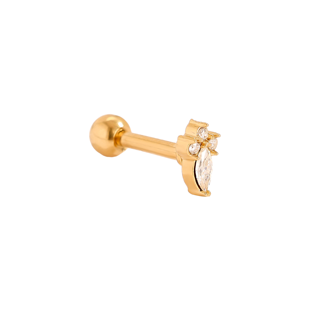 Stainless steel piercing 5mm Mini Nice Diamond